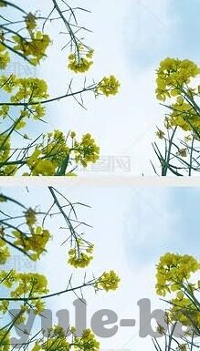 足球比分的中奖规则-揭秘足球比分中奖规则，从入门到精通，助你玩转竞猜世界